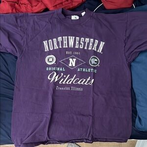 Galt Sand Vintage 90s Northwestern Wildcats T-Shirt